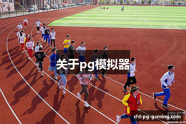 关于pg模拟器